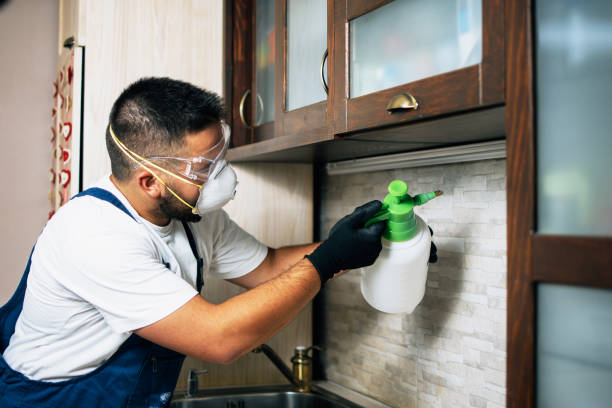 Best Affordable Pest Control Services  in The Acreage, FL