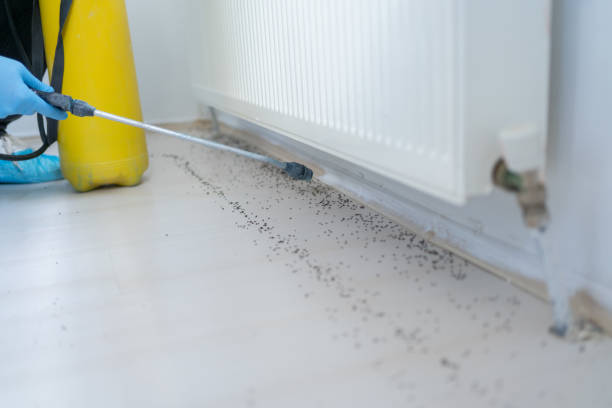 Best Pest Prevention Services  in The Acreage, FL